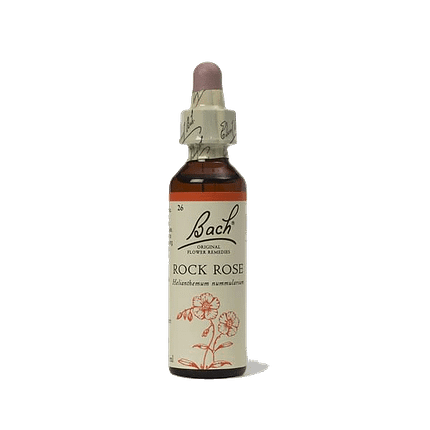 Rock Rose Floral