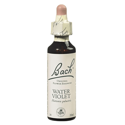 Water Violet Floral