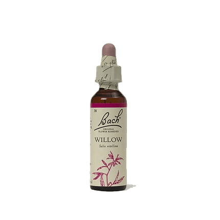 Willow Floral