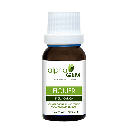 Figueira, biológico