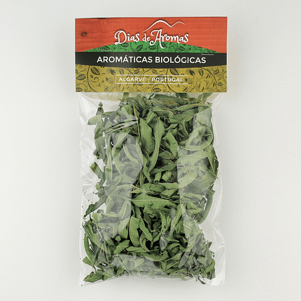 Lúcia Lima / Bela Luísa, biológico