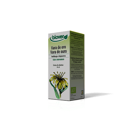 Solidago Virgaurea, biológico