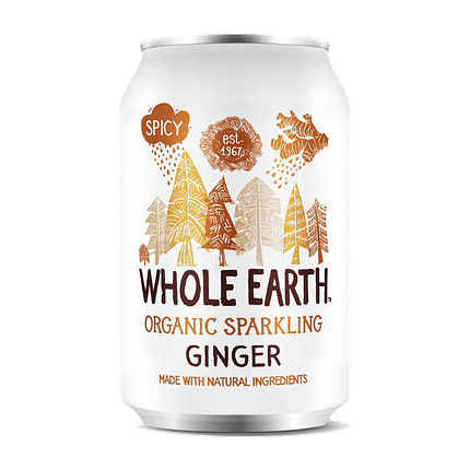 Refrigerante Gengibre sem Açúcar