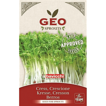 Agrião - Sementes para Germinar, biológico