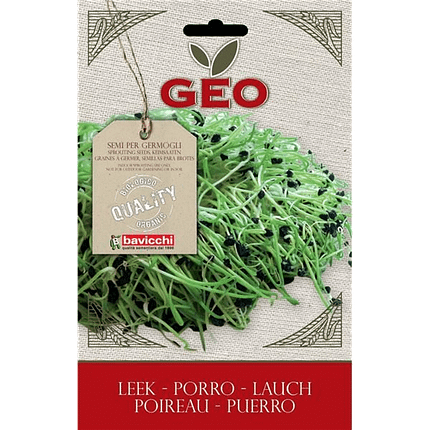 Alho Francês - Sementes para Germinar, biológico