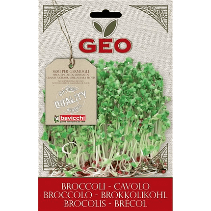 Brócolos - Sementes para Germinar, biológico