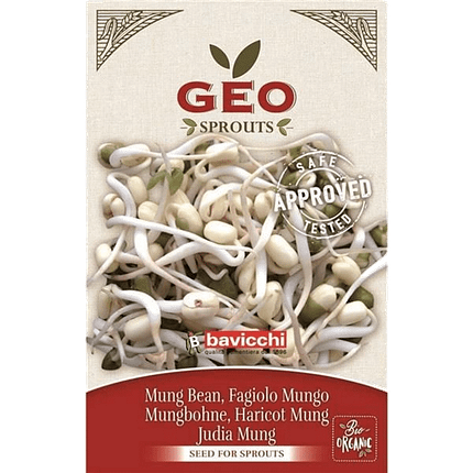 Feijão Mungo - Sementes para Germinar, biológico