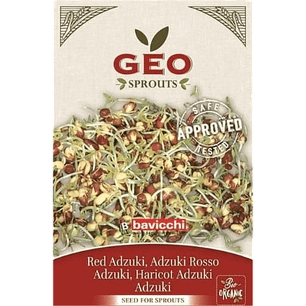 Feijão Vermelho - Sementes para Germinar, biológico