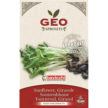 Girassol - Sementes para Germinar, biológico