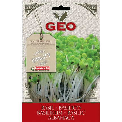 Manjericão - Sementes para Germinar, biológico