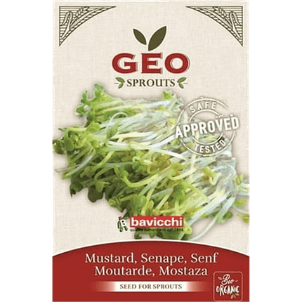 Mostarda - Sementes para Germinar, biológico
