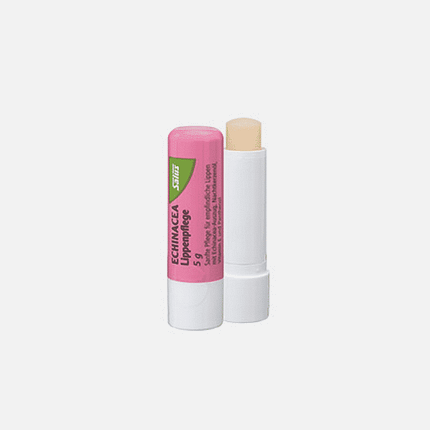 Lip Balm Echinacea