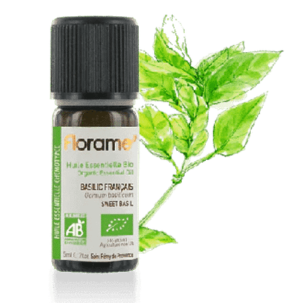 Óleo Essencial Manjericão Doce, aromaterapia