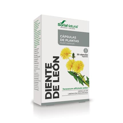 Cápsulas Dente de Leão Soria Natural Diurético Depurativo Desintoxicação Fígado
