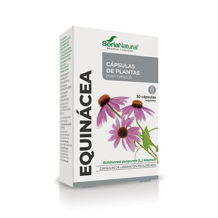 Cápsulas Equinácea Soria Natural Sistema Imunitário Suplemento Defesas