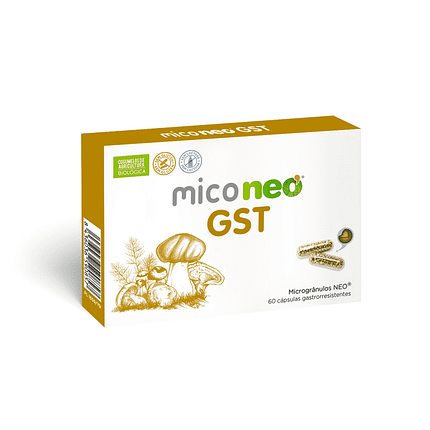 Mico Neo Gst, suplemento alimentar sem glúten e sem lactose