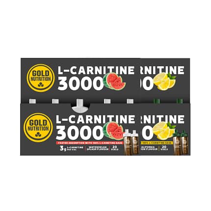 L-Carnitine 3000 Gold Nutrition Suplemento Alimentar Gordura Corpural Fadiga Muscular Desporto