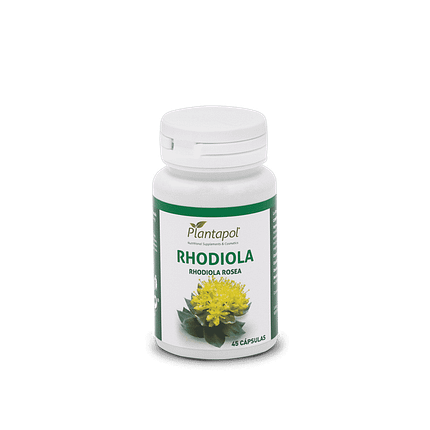Rhodiola Rosea, suplemento alimentar