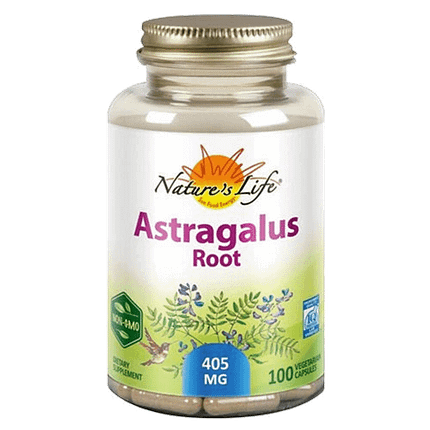 Astragalus Root, suplemento alimentar vegetariano