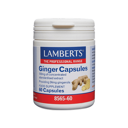 Gengibre 120 mg, suplemento alimentar