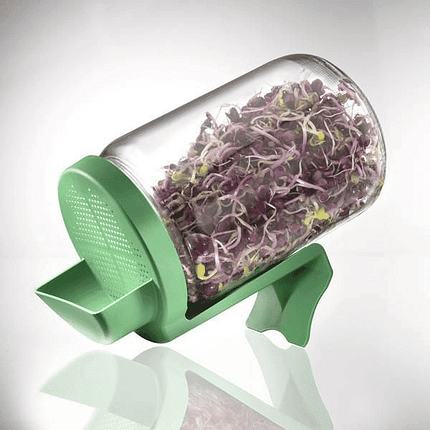 Germinador de Vidro, para sementes germinadas