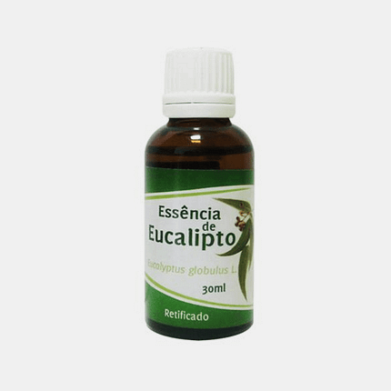 Essência de Eucalipto, óleo de eucalipto