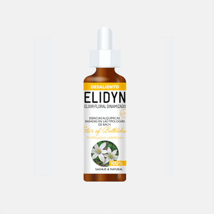 Star of Bethelehen, floral