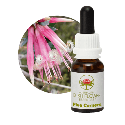 Five Corners Florais Australian Bush Flower Essences