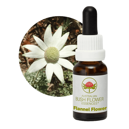 Flannel Flowers Florais Australian Bush Flower Essences