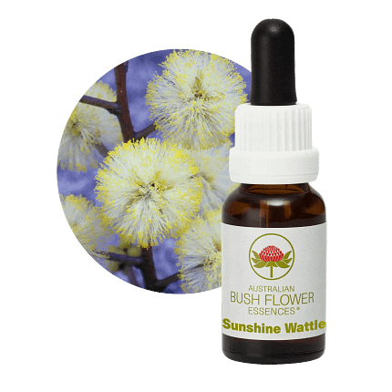 Sunshine Wattle Florais Australian Bush Flower Essences