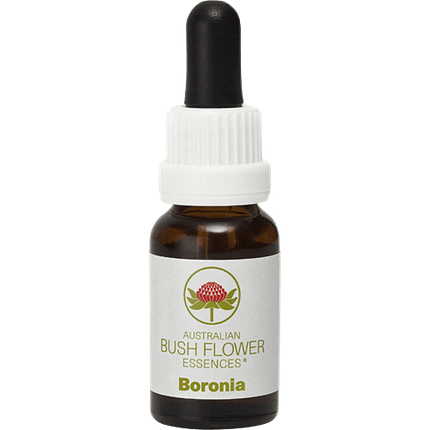 Boronia