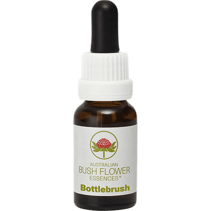 Bottlebrush
