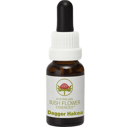 Dagger Hakea