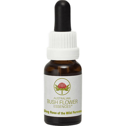 Dog Rose of the Wild Forces