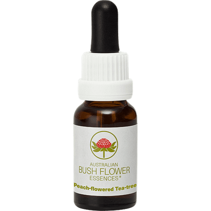 Peach-flowered Tea-tree