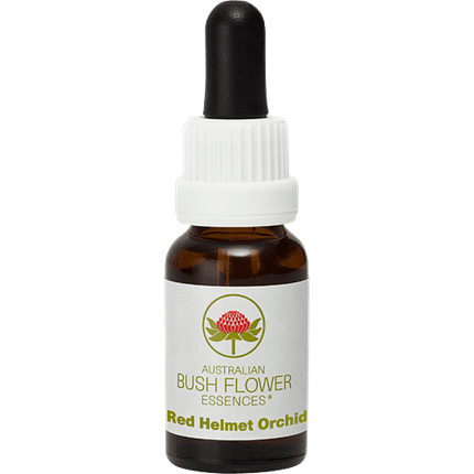 Red Helmet Orchid