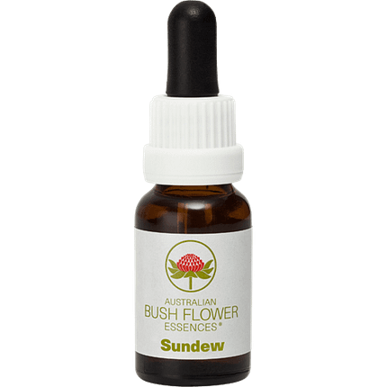 Sundew