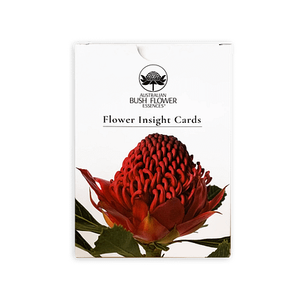 Flower Insight Cartas