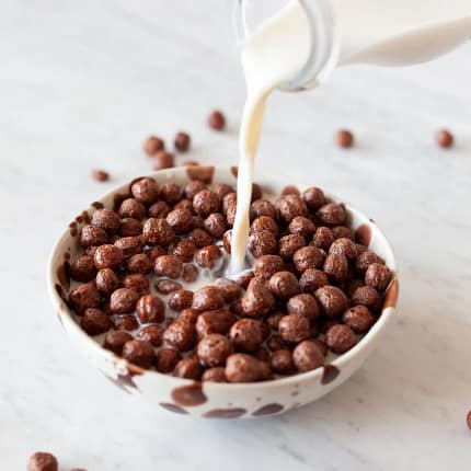 Cereais Cocoa Balls Proteína Alimentação Turtle