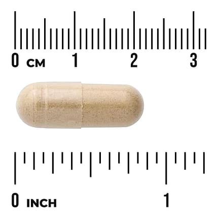 Cardo Mariano 500 mg Suplemento Alimentar Swanson