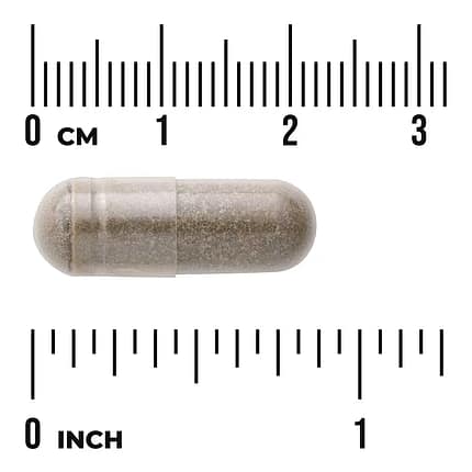 Bacopa Monnieri 250 mg Suplemento Alimentar Life Extension Cérebro