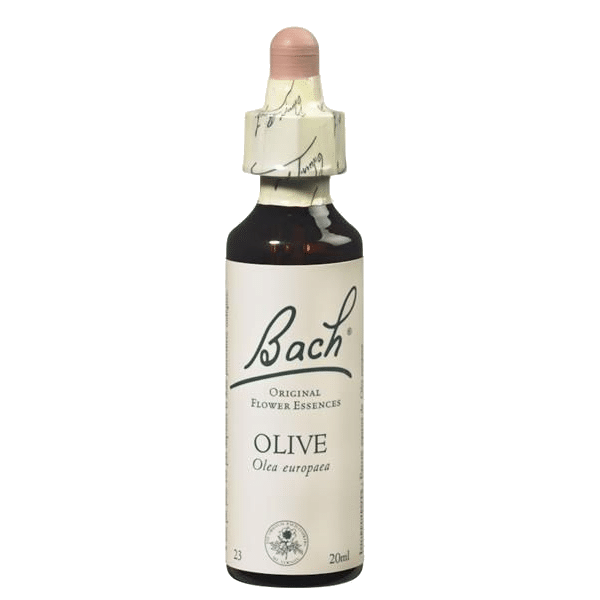 OLIVE (DINAMISMO) FLORAL DE BACH Olive Floral