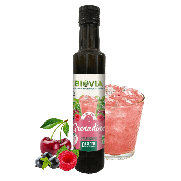 Xarope de Groselha e Stevia bio 500ml Biovia Xarope de groselha e Stevia - Image 1