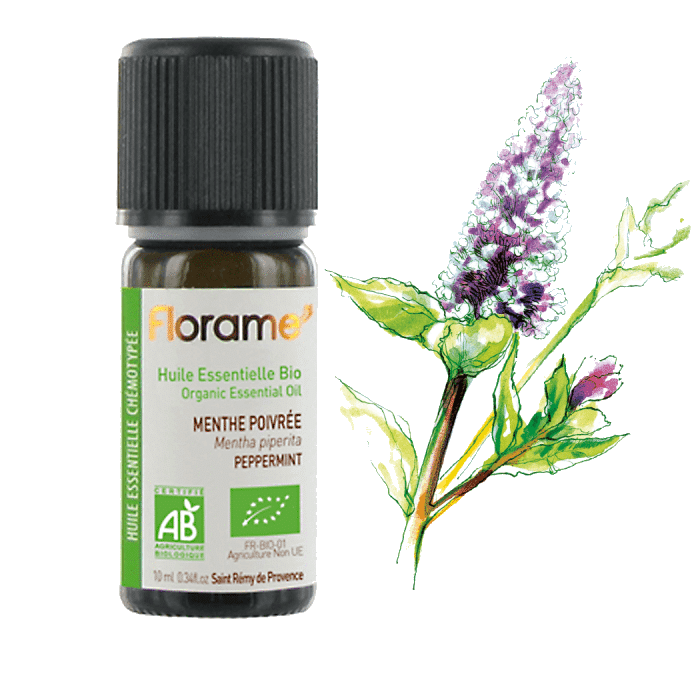 hortela pimenta 10ml florame Óleo Essencial Hortelã Pimenta