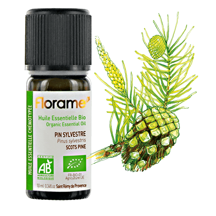 pinho silvestre 10ml florame Óleo Essencial Pinho Silvestre