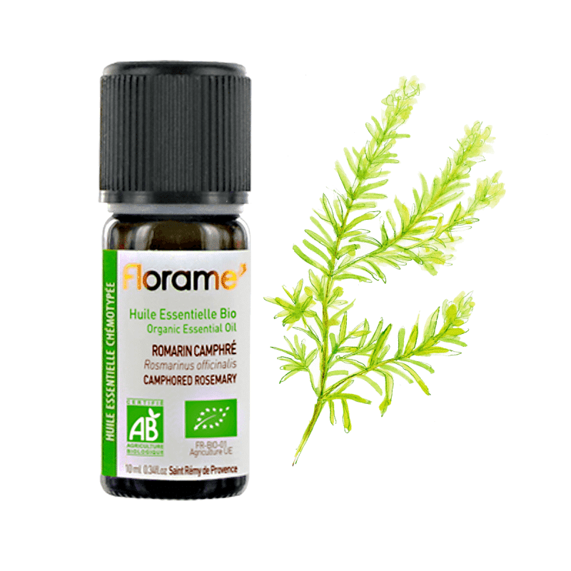 Alecrim canfora 10ml florame Óleo Essencial Alecrim Cânfora