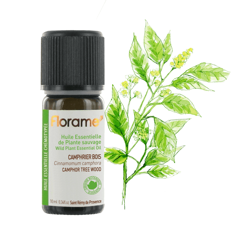 canfora madeira selvagem 10ml florame Óleo Essencial Cânfora Madeira Selvagem