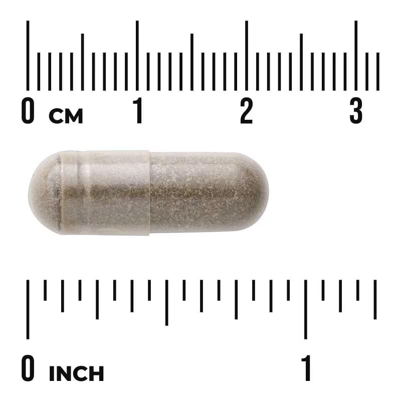 Bacopa Monnieri 250 mg Suplemento Alimentar Life Extension Cérebro